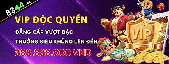 vn78vn